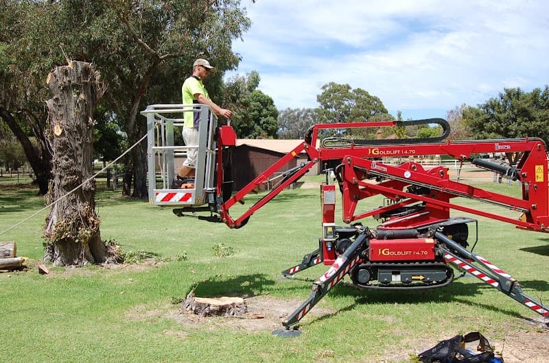 Assured Tree Services tree services work in Perth