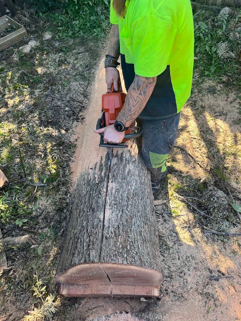 At Your Tree Service tree services work in West Ryde