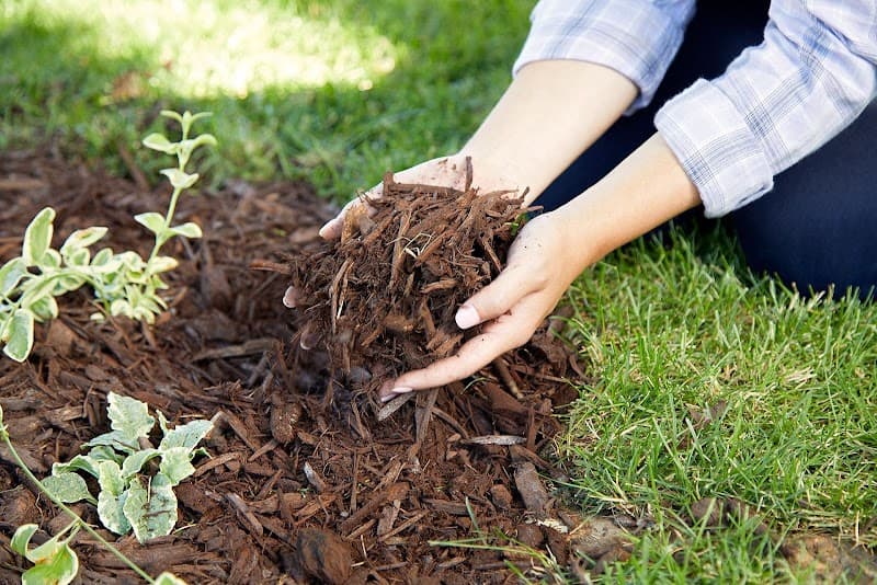 ATL Tree Lopping | Tree Removal | Stump Removal | Stump Grinding | Mulching | Firewood Sale Logan tree services work in Slacks Creek