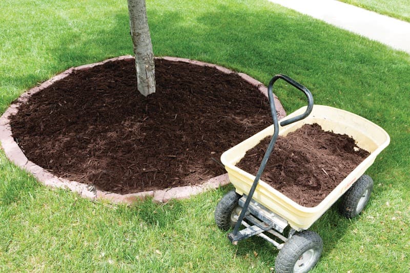 ATL Tree Lopping | Tree Removal | Stump Removal | Stump Grinding | Mulching | Firewood Sale Logan tree services work in Slacks Creek