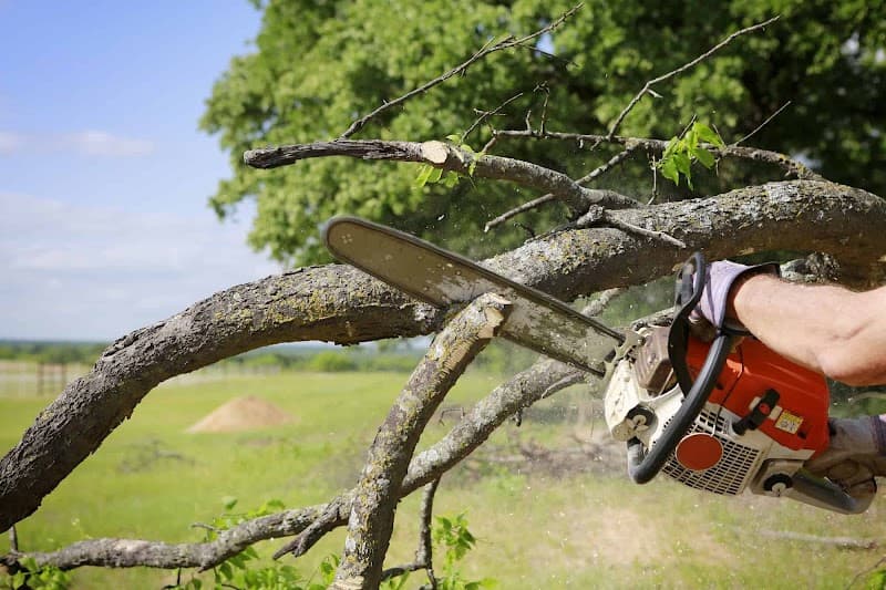 ATL Tree Lopping | Tree Removal | Stump Removal | Stump Grinding | Mulching | Firewood Sale Logan tree services work in Slacks Creek