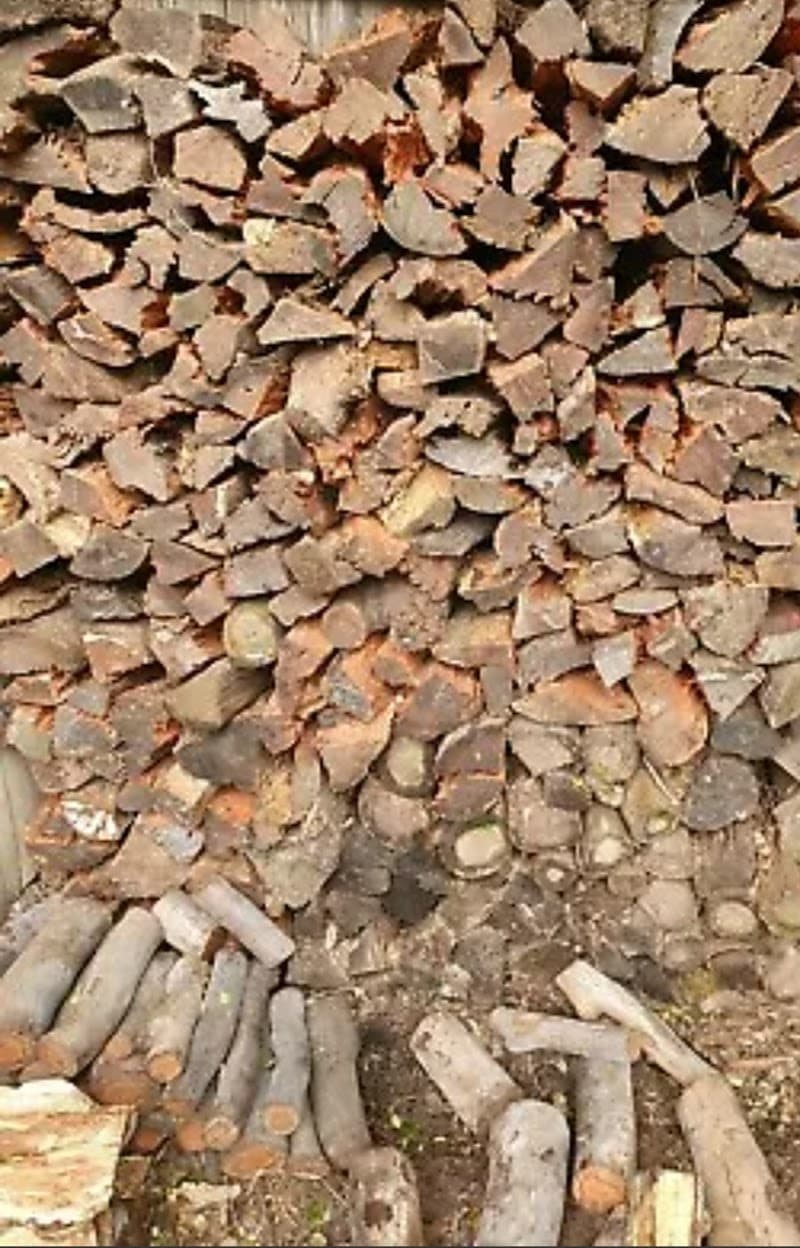 ATL Tree Lopping | Tree Removal | Stump Removal | Stump Grinding | Mulching | Firewood Sale Logan tree services work in Slacks Creek
