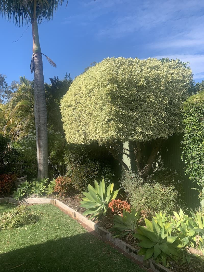 Atlas gardening and maintenance gardening work in Munruben