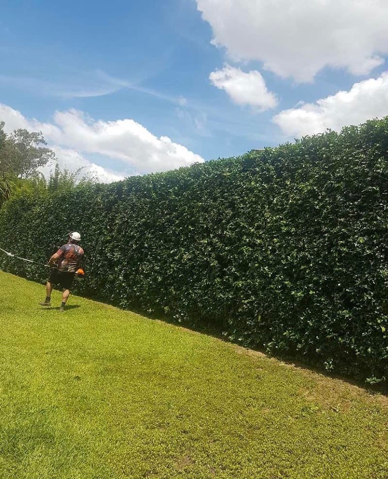 Atlas gardening and maintenance gardening work in Munruben