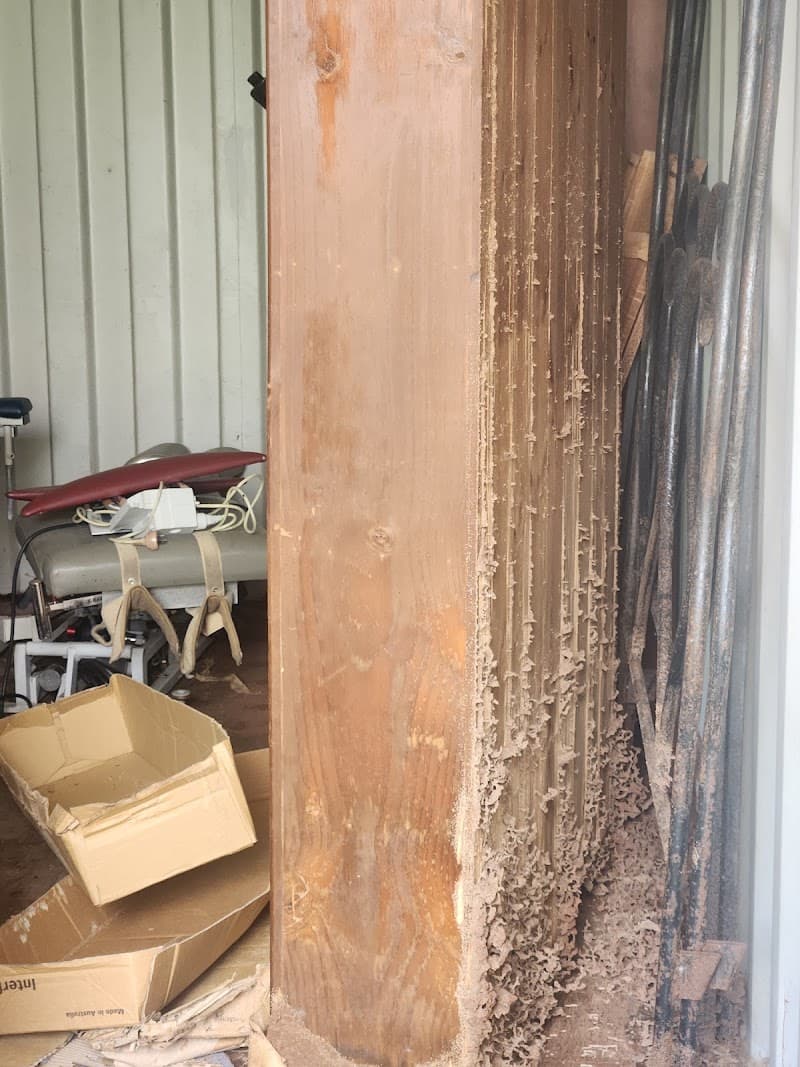 AusMite pest control work in South Toowoomba