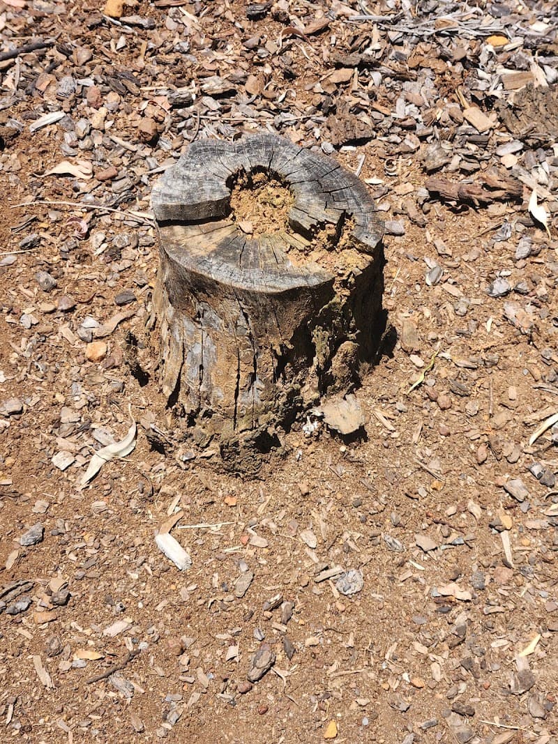 AusMite pest control work in South Toowoomba