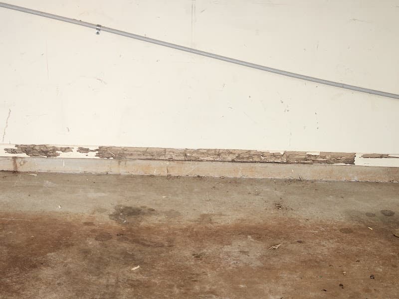 AusMite pest control work in South Toowoomba