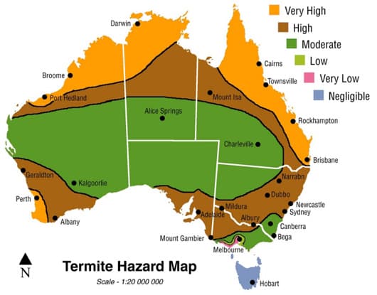 AusMite pest control work in South Toowoomba