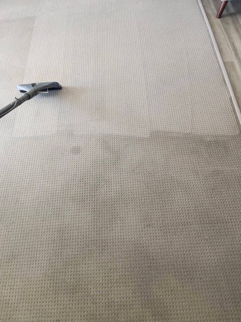 Aussie Carpet & Pest carpet cleaning work in Bethania