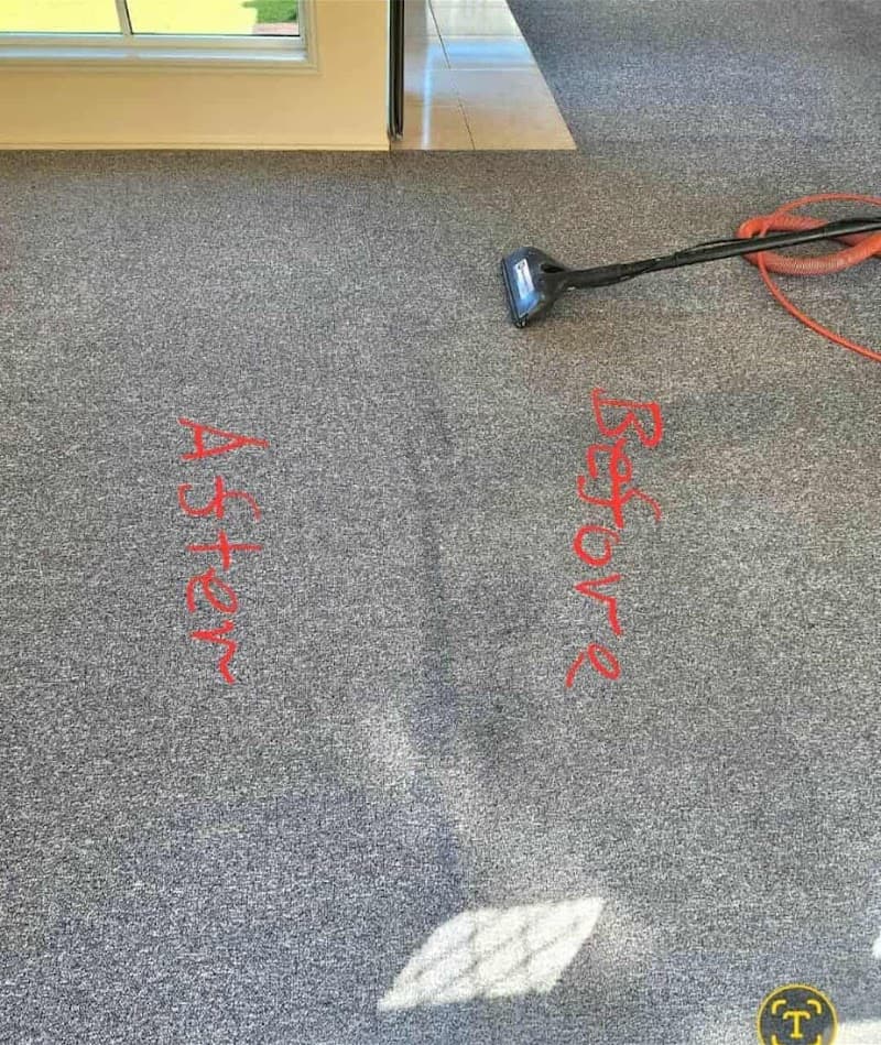 Aussie Carpet & Pest carpet cleaning work in Bethania
