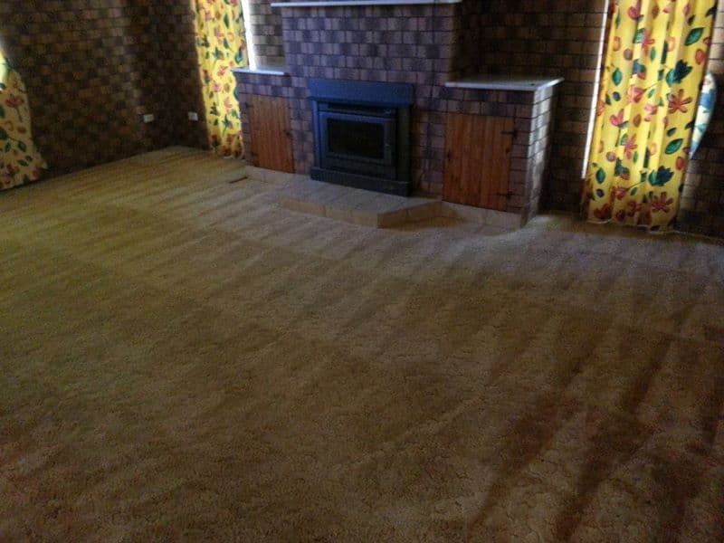 Aussie Carpet & Pest carpet cleaning work in Bethania