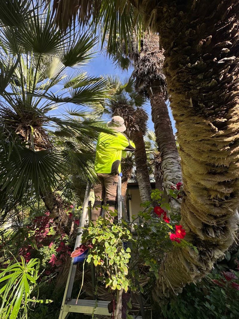 Aussie Garden Works lawn care work in Plympton
