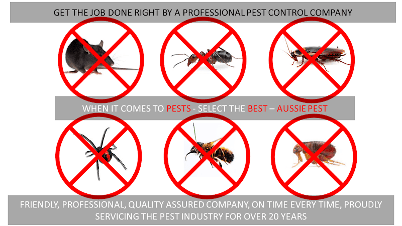 Aussie Pest Inspections pest control work in Millbridge