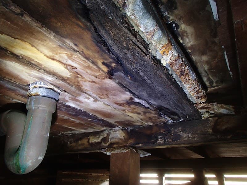 Aussie Pest Inspections pest control work in Millbridge