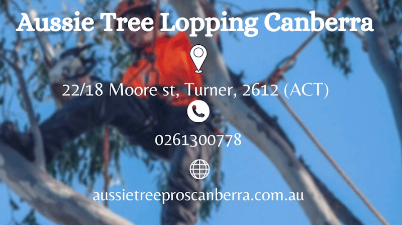 Aussie Tree Lopping Canberra tree services work in Turner
