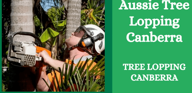 Aussie Tree Lopping Canberra tree services work in Turner