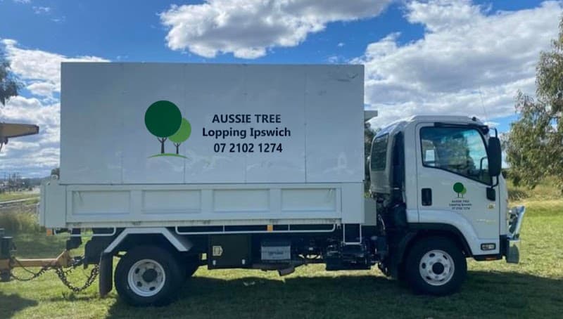 Aussie Tree Lopping Ipswich tree services work in North Booval