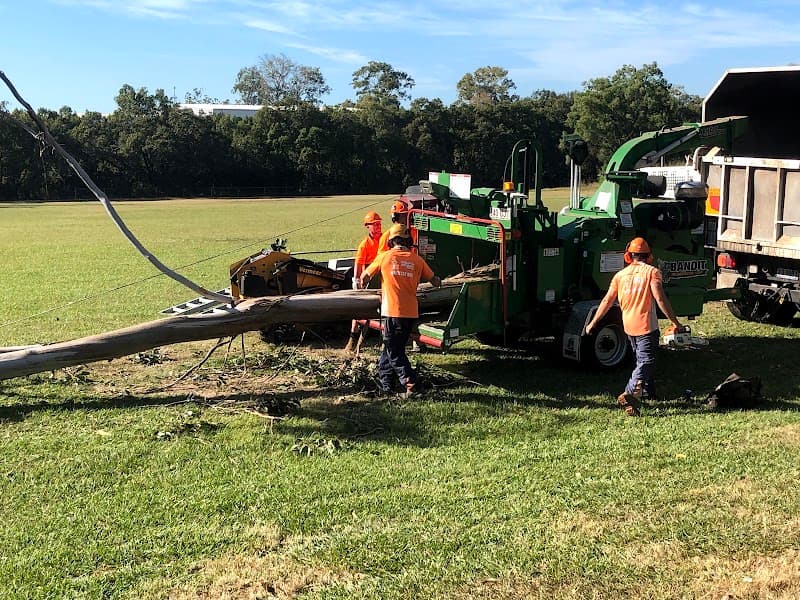 Aussie Tree Lopping Ipswich tree services work in North Booval