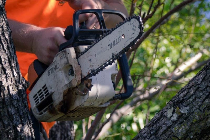 Aussie Tree Lopping Ipswich tree services work in North Booval