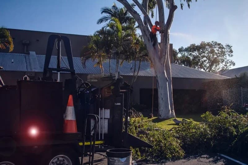 AUSSIE TREE REMOVAL DARWIN tree services work in Wulagi