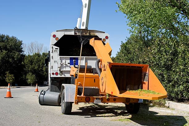 AUSSIE TREE REMOVAL DARWIN tree services work in Wulagi