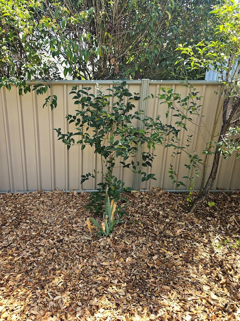 Aussie's Garden Services lawn care work in Gilmore