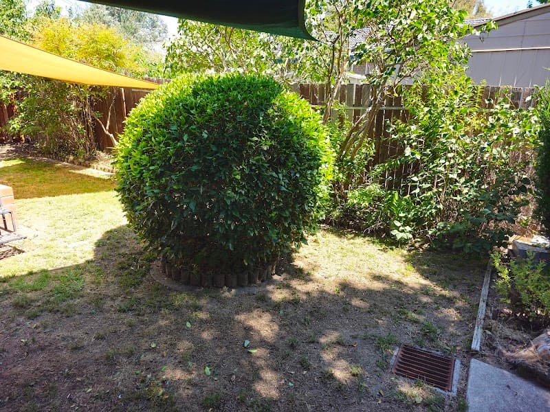 Aussie's Garden Services lawn care work in Gilmore