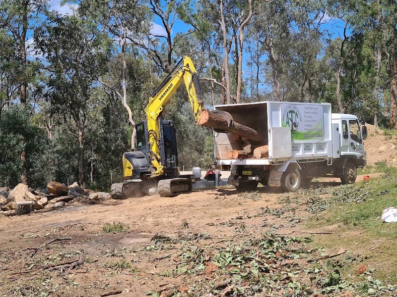 Austin's Tree Contracting tree services work in North Richmond