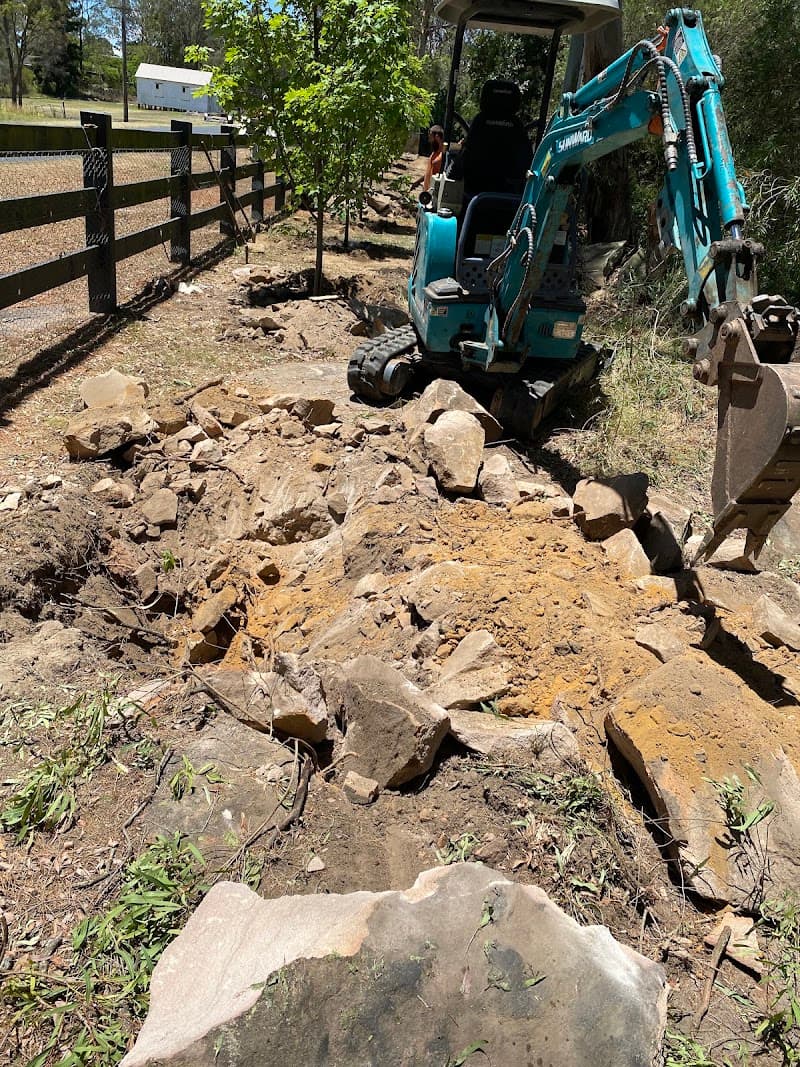 Austin's Tree Contracting tree services work in North Richmond