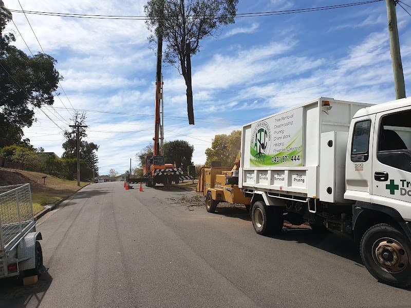 Austin's Tree Contracting tree services work in North Richmond