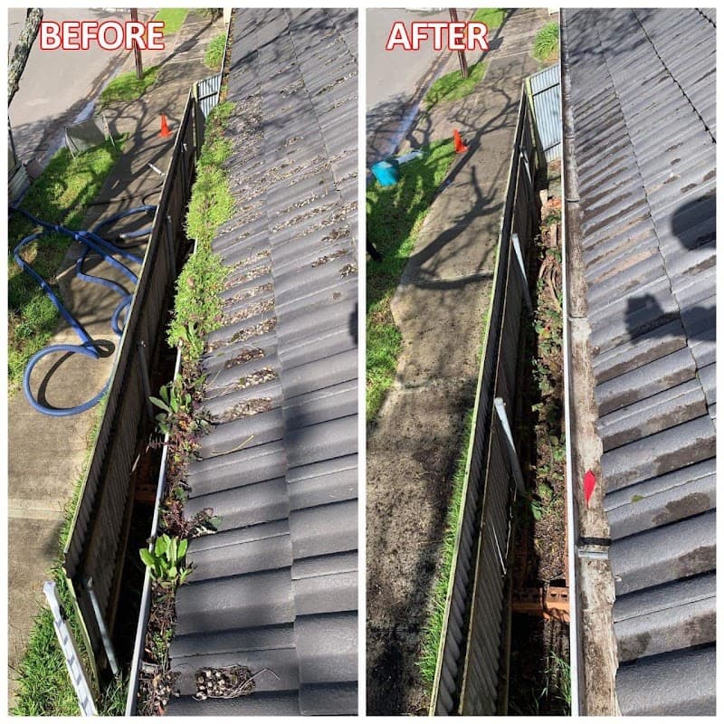 Australian Gutter Cleaning Co. gutter cleaning work in Brooklyn Park