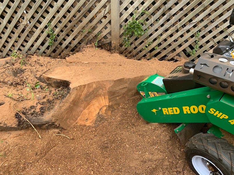Australian Heritage Tree Works tree services work in Felixstow