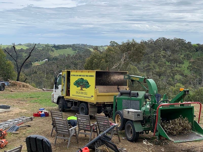 Australian Heritage Tree Works tree services work in Felixstow