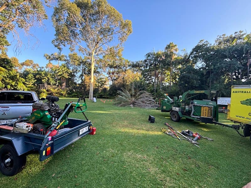 Australian Heritage Tree Works tree services work in Felixstow