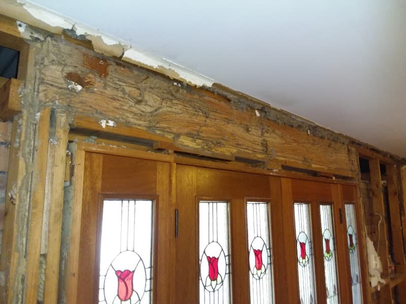 Australian Pest Specialists - Pest Control Central Coast pest control work in Chittaway Bay
