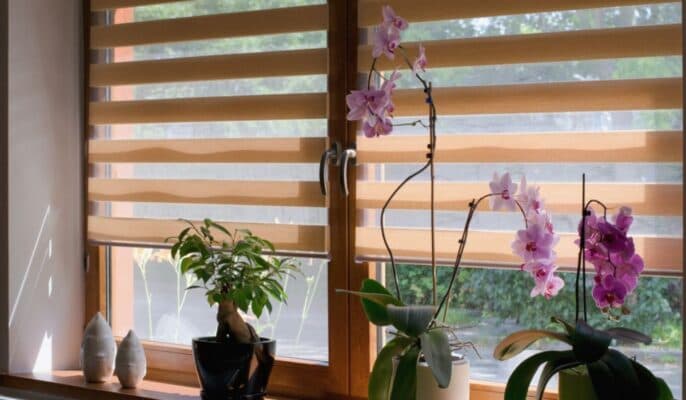 Australian Window Fashions curtains & blinds work in Breakwater