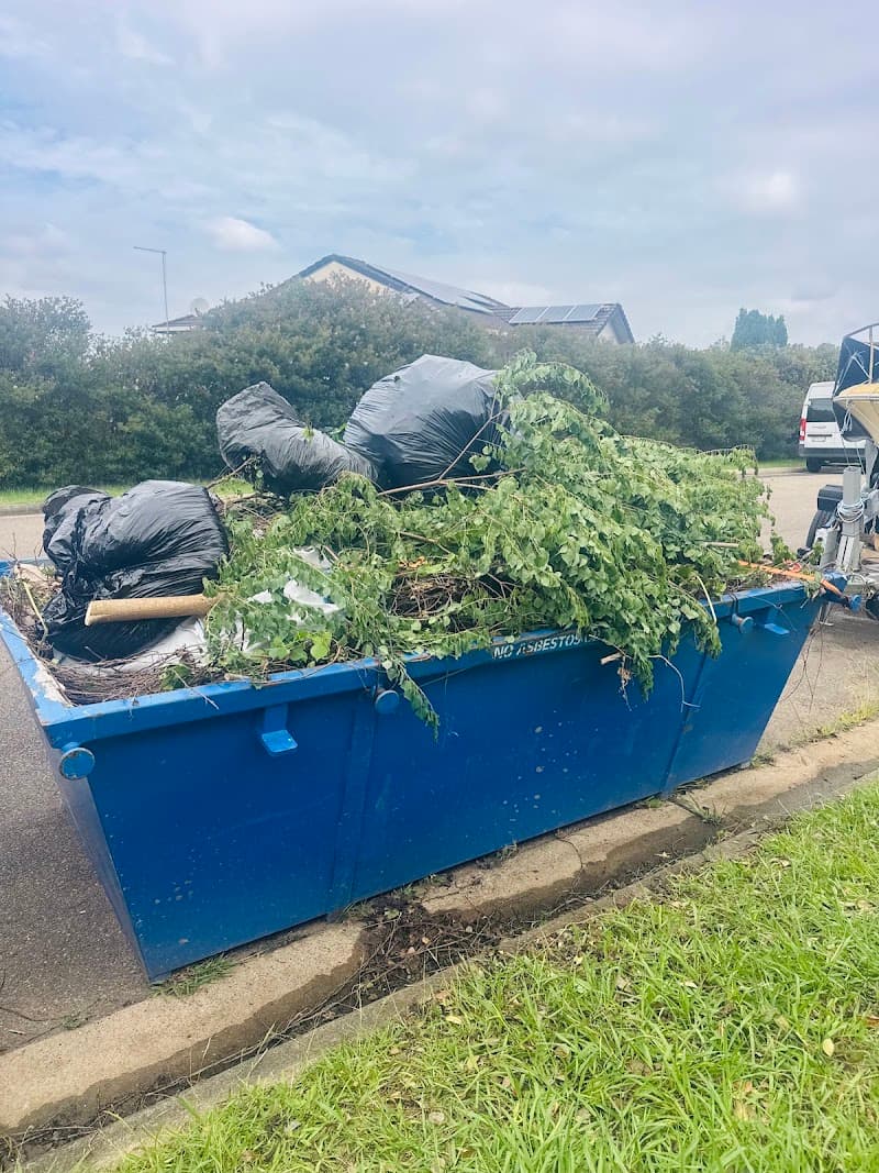 ava skipbin rubbish removal work in Merrylands