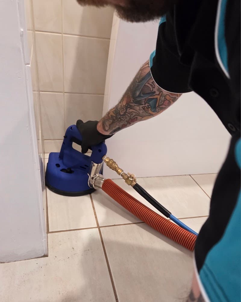 Avita Cleaning Services cleaning work in Rockingham