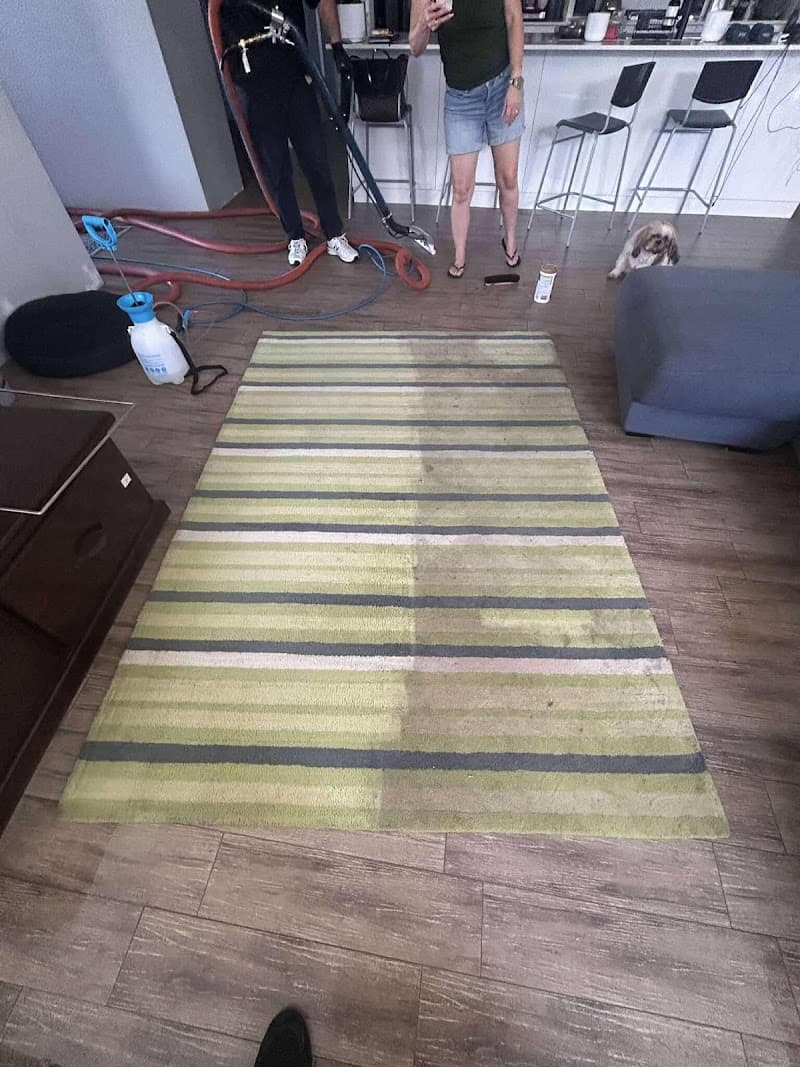 Avita Cleaning Services cleaning work in Rockingham