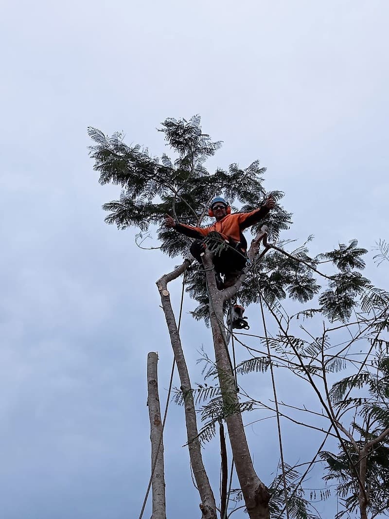 Axe Tree Service tree services work in Round Hill