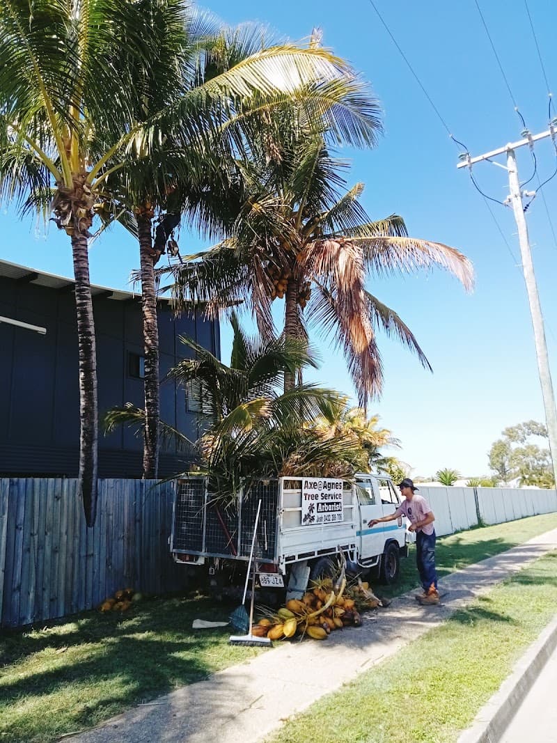 Axe Tree Service tree services work in Round Hill
