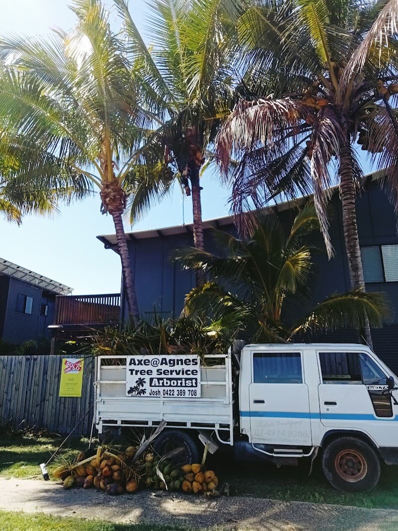 Axe Tree Service tree services work in Round Hill