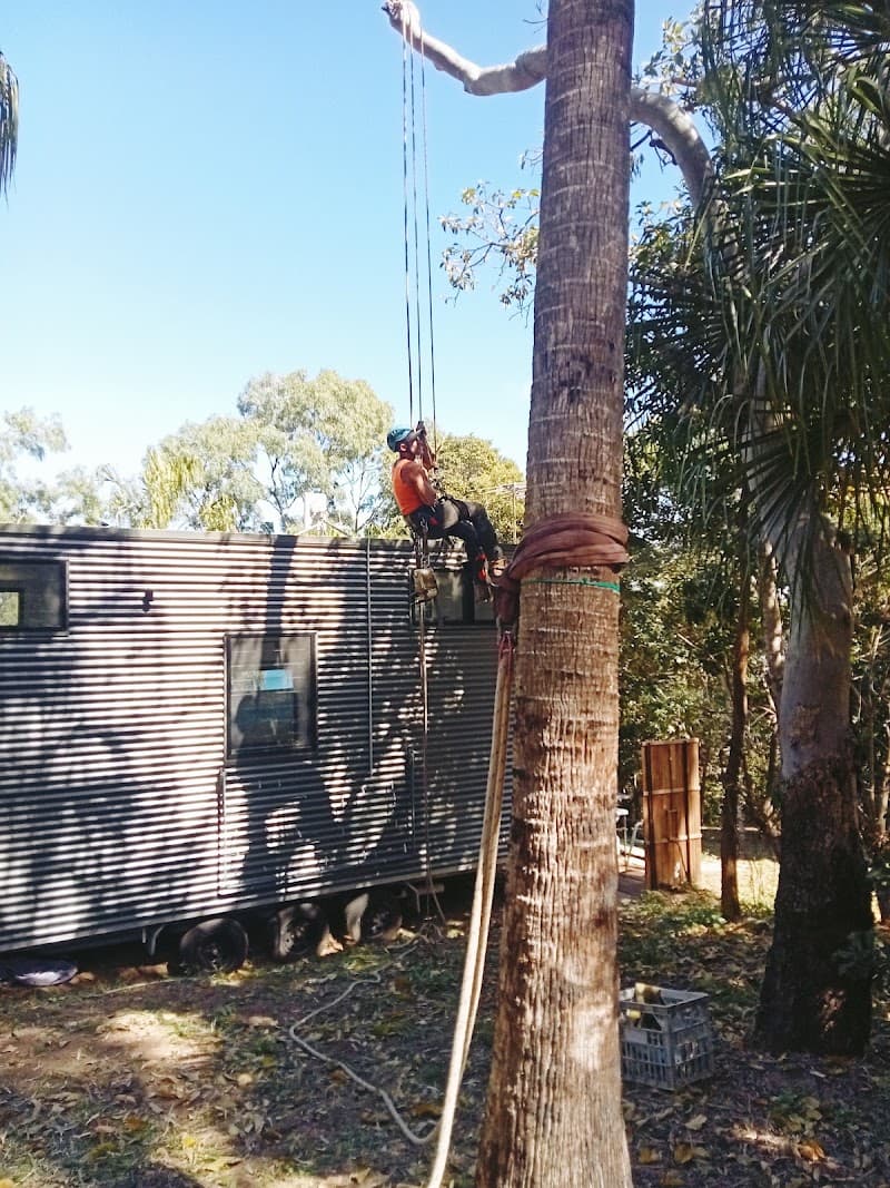 Axe Tree Service tree services work in Round Hill