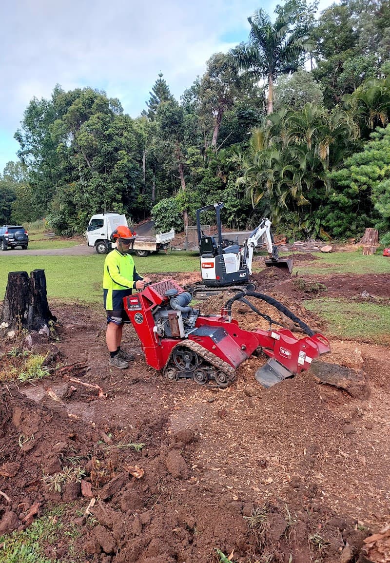 Axemen Stumpgrinding & Lawn Care gardening work in East Mackay