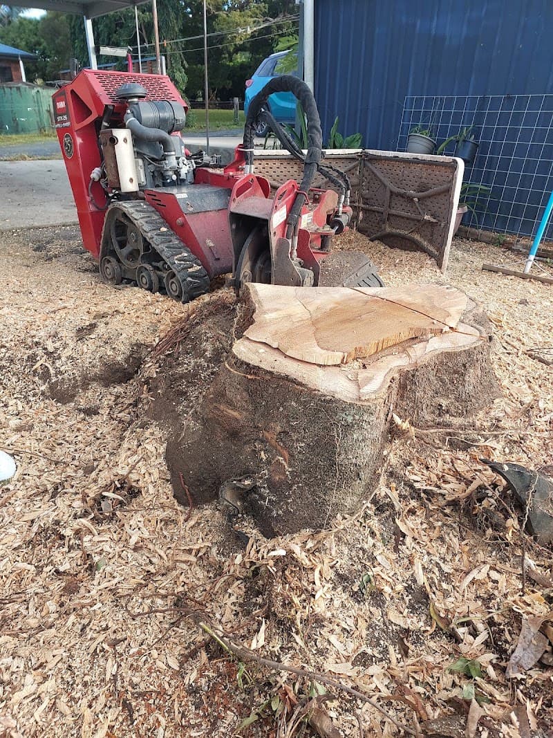 Axemen Stumpgrinding & Lawn Care gardening work in East Mackay