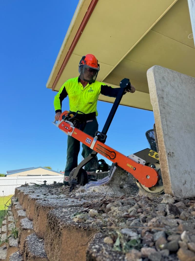Axemen Stumpgrinding & Lawn Care gardening work in East Mackay