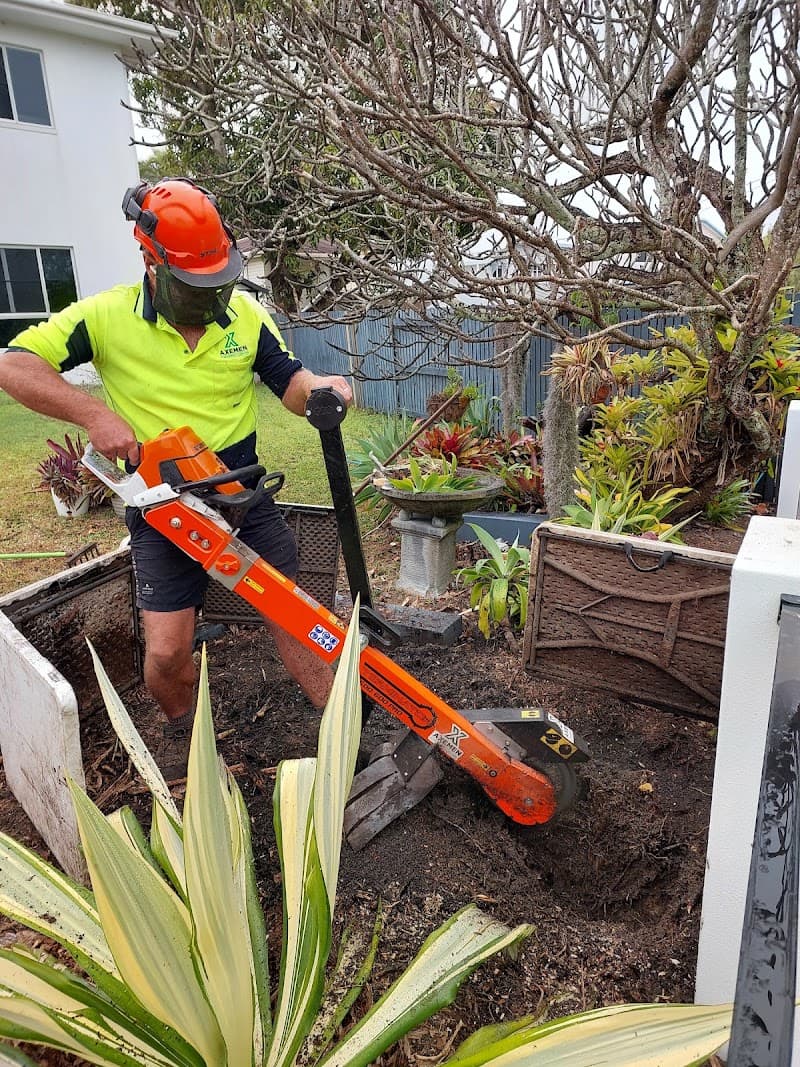 Axemen Stumpgrinding & Lawn Care gardening work in East Mackay