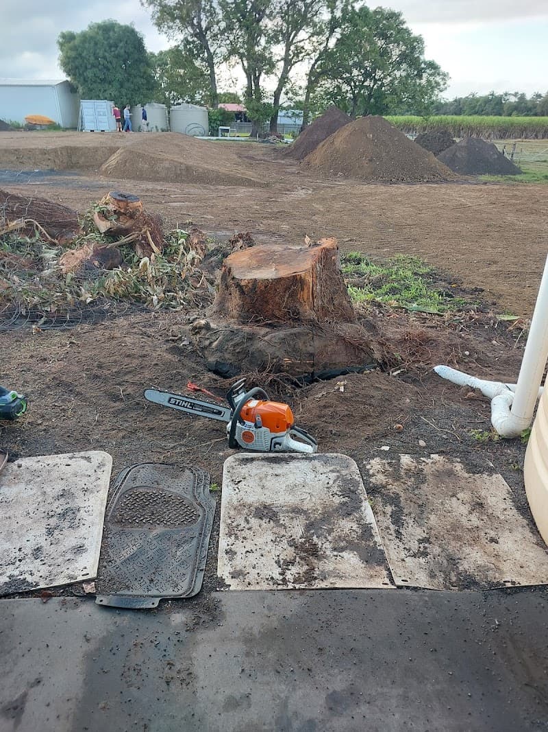 Axemen Stumpgrinding & Lawn Care gardening work in East Mackay