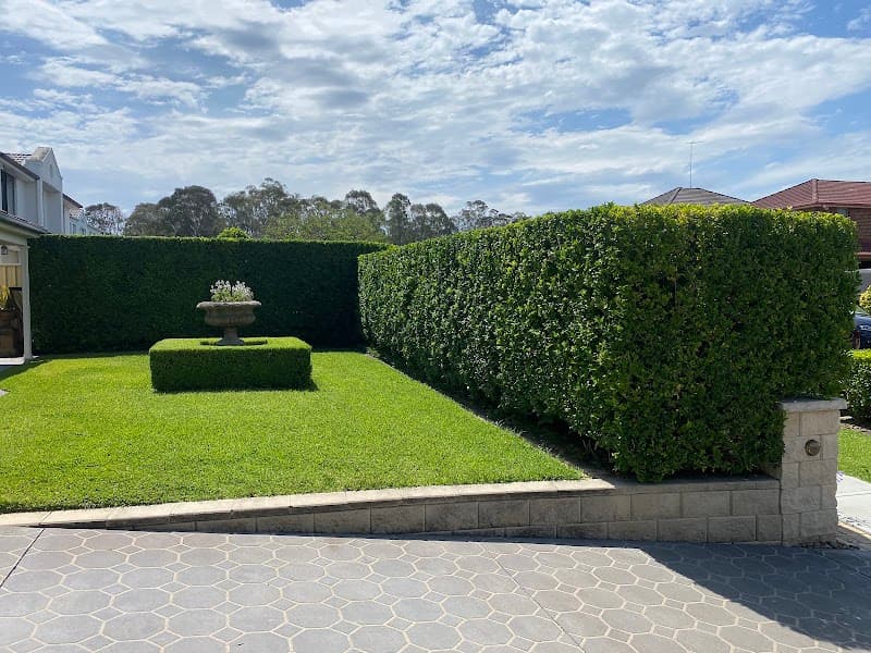 B3landscapes Pty Ltd gardening work in Cambridge Park