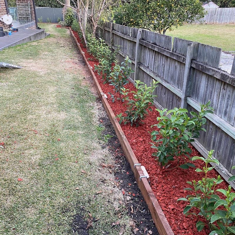 B3landscapes Pty Ltd gardening work in Cambridge Park
